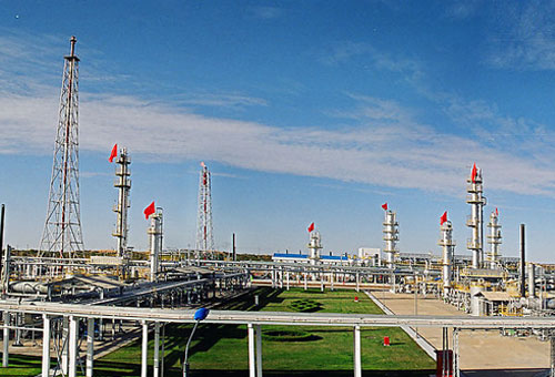 �������{�F���{ԇ�D