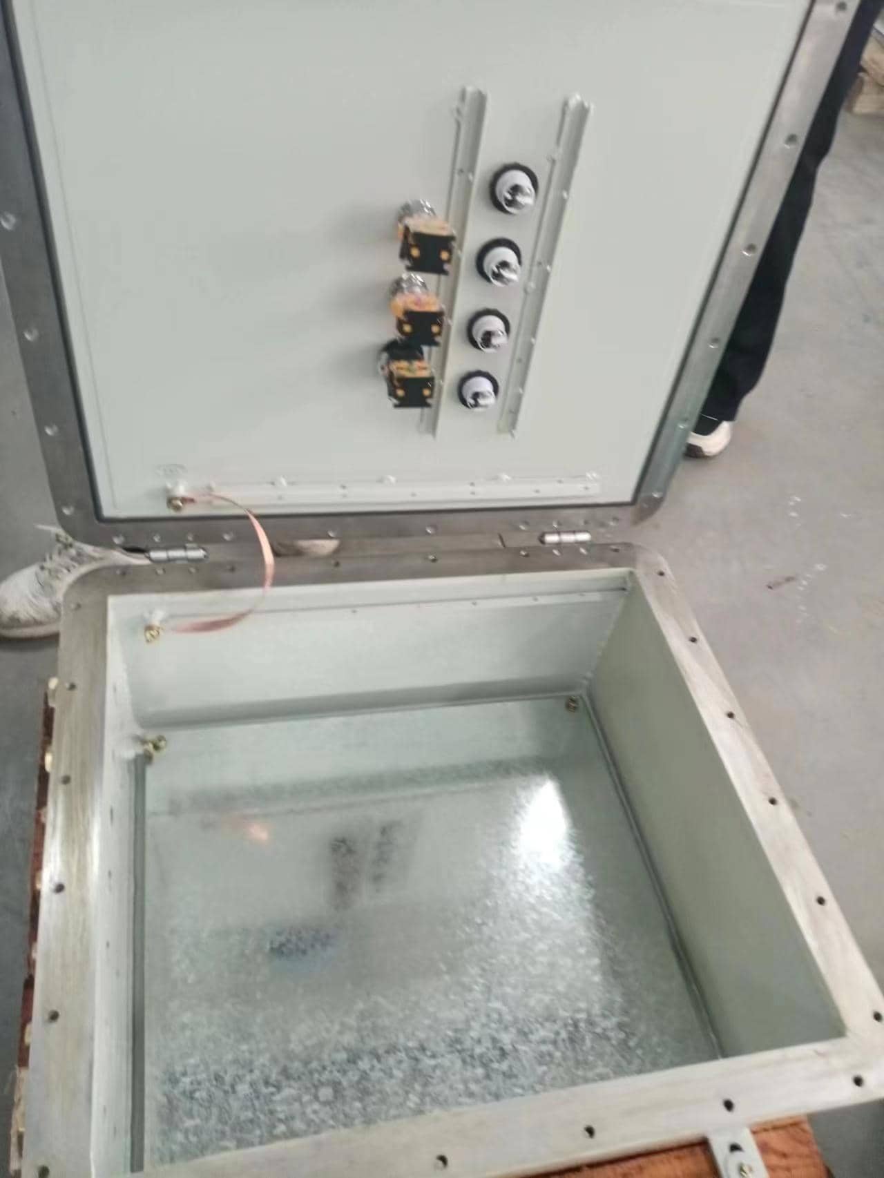 ���������䚤�w���ӹ����N���|��